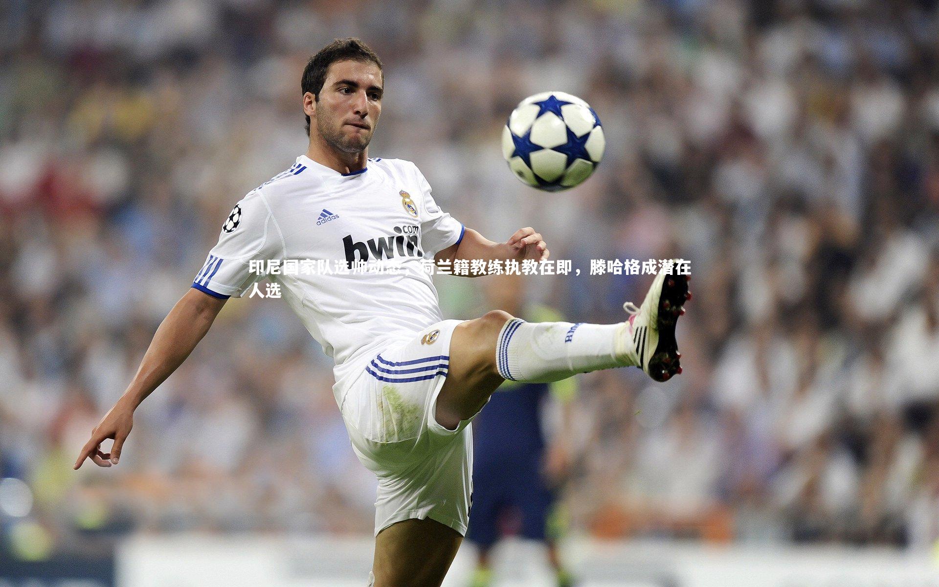 fb体育官网-印尼国家队选帅动态，荷兰籍教练执教在即，滕哈格成潜在人选