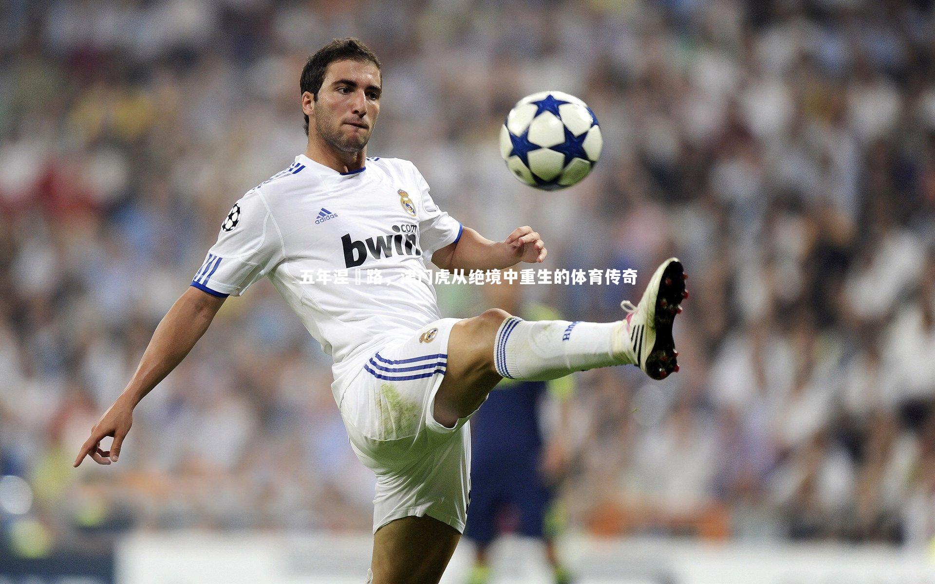 五年涅槃路,津门虎从绝境中重生的体育传奇